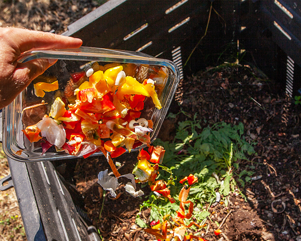 環境污染源監測報告有效期是多久？